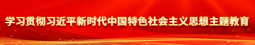 把男人的坤巴插进女生的饺子皮学习贯彻习近平新时代中国特色社会主义思想主题教育